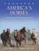 America_s_horses