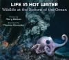 Life_in_hot_water