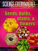 Seeds__bulb__plants____flowers
