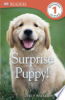 Surprise_Puppy____PB