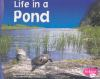 Life_In_a_Pond