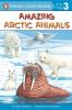 Amazing_arctic_animals