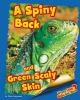 A_spiny_back_and_green_scaly_skin