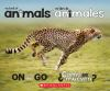 My_Book_of_Animals_mi_libro_de_animales_On_the_go__