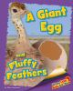 A_giant_egg_and_fluffy_feathers