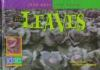 Plant_leaves