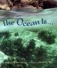 The_ocean_is