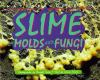 Slime__molds__and_fungi