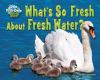 What_s_so_fresh_about_fresh_water_