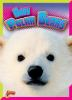 Baby_polar_bears