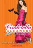 Mask_Appeal__Cinderella_Cleaners___4