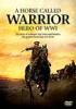 A_horse_called_Warrior__hero_of_WWI