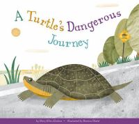 A_turtle_s_dangerous_journey