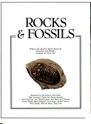 Rocks_and_fossils