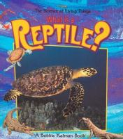 What_is_a_reptile_