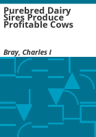 Purebred_dairy_sires_produce_profitable_cows