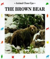 The_brown_bear