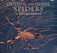 Outside_and_inside_spiders