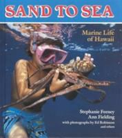 Sand_to_sea