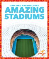 Amazing_stadiums