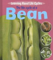 The_Life_Cycle_of_a_Bean