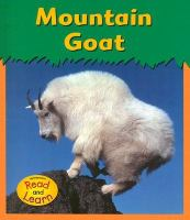 Mountain_goat