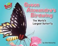 Queen_Alexandra_s_birdwing