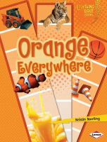Orange_everywhere