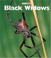 Black_widows