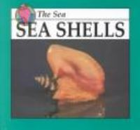 Sea_shells