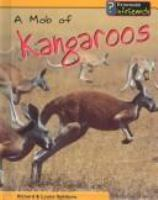 A_mob_of_kangaroos