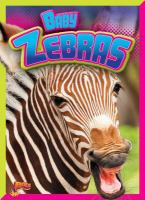Baby_zebras