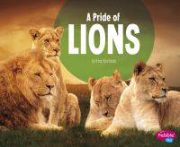 A_pride_of_lions