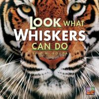 Look_what_whiskers_can_do