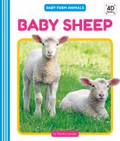 Baby_sheep