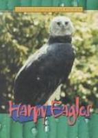 Harpy_eagles