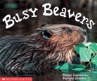Busy_beavers
