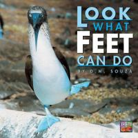 Look_what_feet_can_do