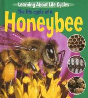 The_Life_cycle_of_a_Honeybee