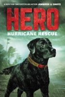 Hero_hurricane_rescue