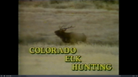 Colorado_elk_hunting