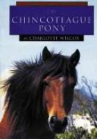 Chincoteague_ponies