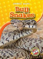 Bull_snakes