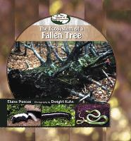 The_ecosystem_of_a_fallen_tree