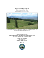 Piney_River_elk_herd_E-12_data_analysis_unit_plan__game_management_units_35__36__and_361