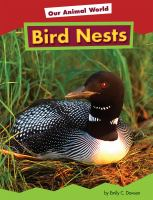 Birds_nest