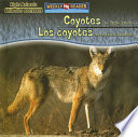 Los_Coyotes_son_animals_nocturnos