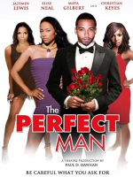 The_perfect_man