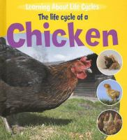 The_Life_Cycle_of_a_Chicken