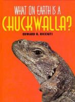 What_on_Earth_is_a_Chuckwalla_
